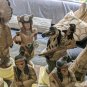 50's Native American Warrior Tribes Molded Ceramic 32pcs Complete Chess Set