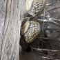 Whole Home 12 Decorative Shower Hooks New In Box