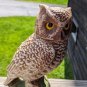 Creation of James B. Beam Owl Decanter - Jim Beam. Collectors Item.
