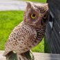 Creation of James B. Beam Owl Decanter - Jim Beam. Collectors Item.