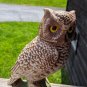 Creation of James B. Beam Owl Decanter - Jim Beam. Collectors Item.