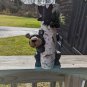 BEAR PEEK A BOO CANDLE HOLDERS TREE CLIMBER BEARS BIRCH TREE LEAVES 20"