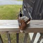 Vintage MCM 50s 10 Inch Dachshund Ceramic Planter Trinket Dish Weiner Dog