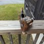 Vintage MCM 50s 10 Inch Dachshund Ceramic Planter Trinket Dish Weiner Dog