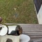 Elephant Trunk up Ring Holder trinket Tray Ceramic Gold Tone Jewelry Dish Asian