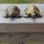 Vintage Holiday Fair Co 1971 Two Turquoise Eyed Brass Turtles Figurines Japan