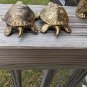 Vintage Holiday Fair Co 1971 Two Turquoise Eyed Brass Turtles Figurines Japan