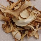 MATSUTAKE (PINE) MUSHROOMS (DRIED) 1oz BAG PREMIUM 2020 OREGON COAST