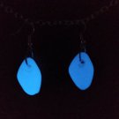Glow In The Dark Stone Earrings