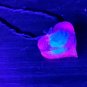 New 13x18mm glittery epoxy resin heart pendant rose choker necklace