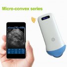 Handheld mini Wifi Wireless Portable Ultrasound Scanner MicroConvex Probe