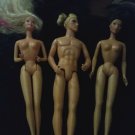 12" barbie lot of three ken, blonde barbie , brunette barbie all nude