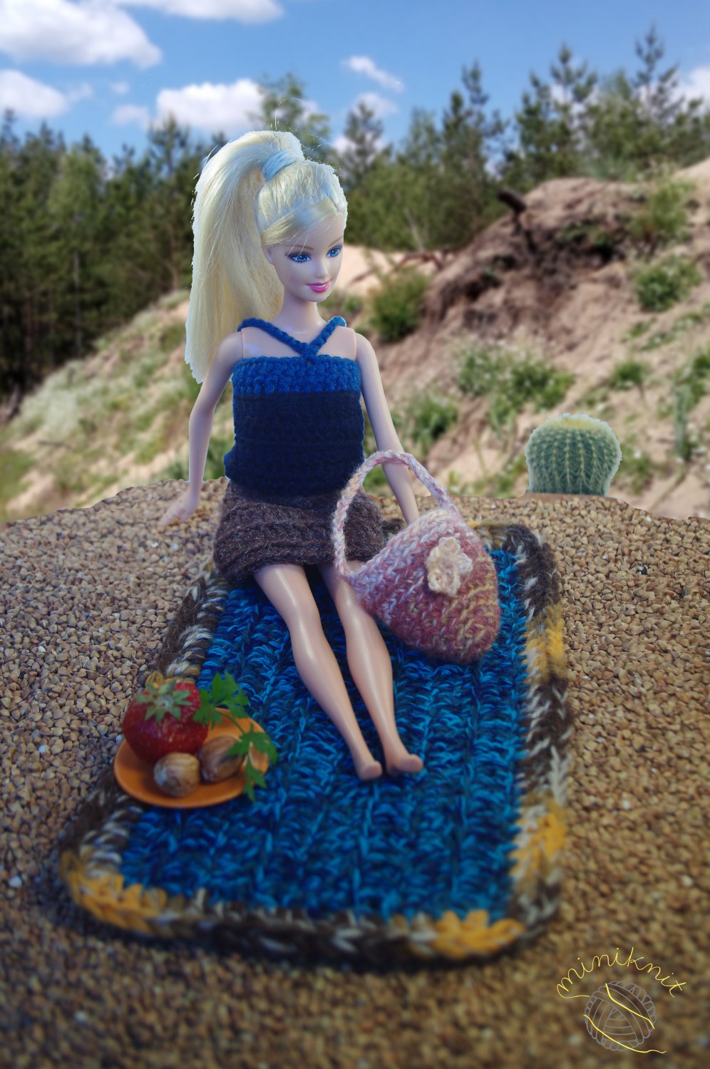 hand knitted picnic outfit for Barbie | most for least price deal! | ooak | PERFECT GIFT