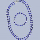 Fiberoptic set