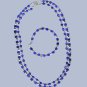 Fiberoptic set