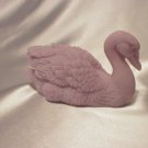 Swan
