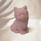 Persian Kitten