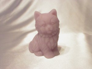 Persian Kitten