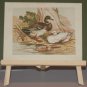 1856 Antique Print Hand Colored The Duck