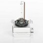 BOSCH 1987302905 Bulb, spotlight for ABARTH, ALFA ROMEO, BMW, CITRO&Atilde;�N, FIAT, FOR