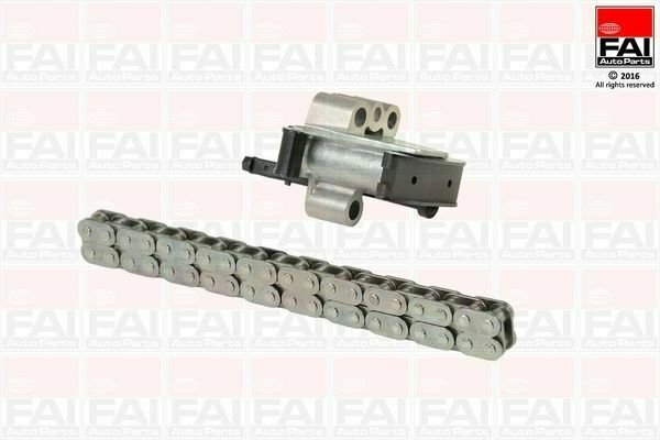 FAI AUTOPARTS TCK100NG Timing Chain Kit for CITRO&Atilde;�N, FIAT, FORD, JAGUAR, LANCIA,