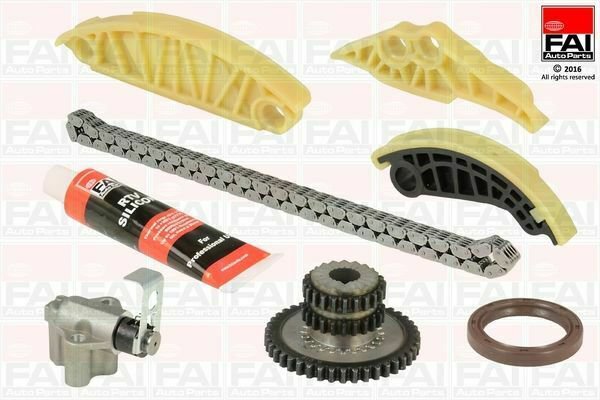 FAI AUTOPARTS TCK181 Timing Chain Kit for AUDI