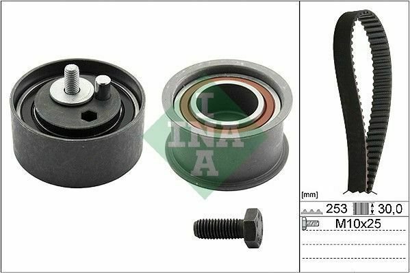 INA 530017810 Timing Belt Set for AUDI, SKODA, VW