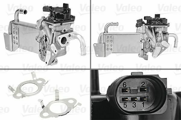 VALEO 700435 EGR Module for VW