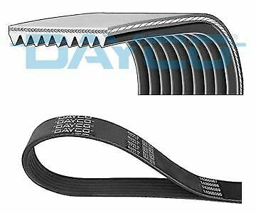 DAYCO 9PK2870HD V-Ribbed Belts