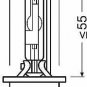 OSRAM 66250CBI Bulb, spotlight for AUDI, BMW MOTORCYCLES, CITROËN, FIAT, HONDA,