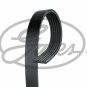 GATES 6PK1660 V-Ribbed Belts for AUDI, BMW, CITROËN, FIAT, HYUNDAI, KIA, LANCIA,