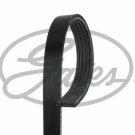 GATES 5PK1398 V-Ribbed Belts for CHEVROLET, MINI, OPEL