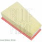 BLUE PRINT ADN12289 Air Filter for INFINITI, MERCEDES-BENZ