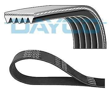 DAYCO 5PK628EE V-Ribbed Belts for FORD, VOLVO
