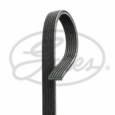 GATES 6DPK1195 V-Ribbed Belts for AUDI, FORD, SEAT, SKODA, VW
