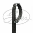 GATES 6DPK1195 V-Ribbed Belts for AUDI, FORD, SEAT, SKODA, VW
