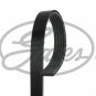 GATES 5PK1123 V-Ribbed Belts for AUDI, BMW, CITROËN, LADA, MITSUBISHI, NISSAN, O