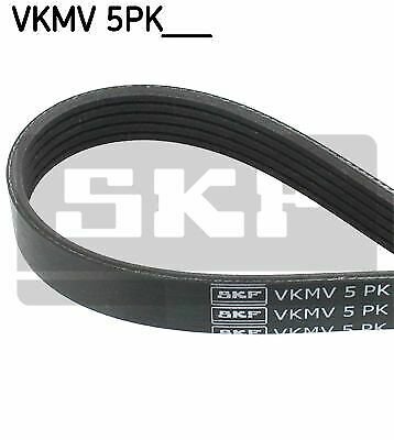 SKF VKMV 5PK1125 V-Ribbed Belts for BMW, CITRO&Atilde;�N, NISSAN, OPEL, PEUGEOT, RENAULT