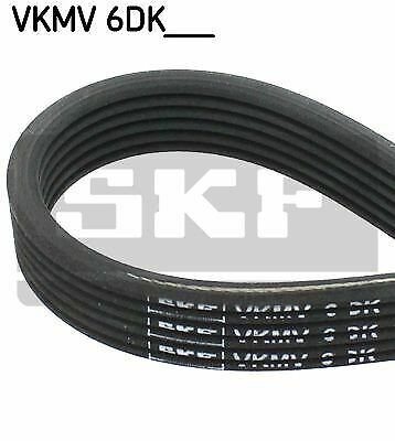 SKF VKMV 6DK1195 V-Ribbed Belts for AUDI, FORD, SEAT, SKODA, VW