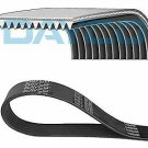 DAYCO 11PK2871HD V-Ribbed Belts