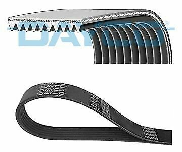 DAYCO 10PK1635SHD V-Ribbed Belts
