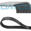 DAYCO 10PK1635SHD V-Ribbed Belts
