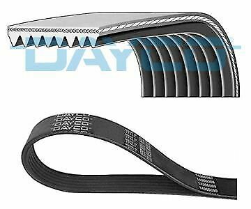 DAYCO 8PK1215HD V-Ribbed Belts