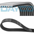 DAYCO 8PK1215HD V-Ribbed Belts