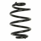 MAGNUM TECHNOLOGY SS029MT Coil Spring for SKODA, VW