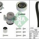 INA 530055032 Water Pump & Timing Belt Set for AUDI, SEAT, SKODA, VW