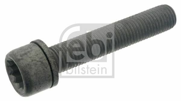 FEBI 48817 Bolt, brake caliper for AUDI, SEAT, SKODA, VW