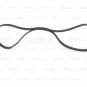 BOSCH 1987948304 V-Ribbed Belts for AUDI, CITRO&Atilde;�N, FIAT, LADA, NISSAN, PEUGEOT,