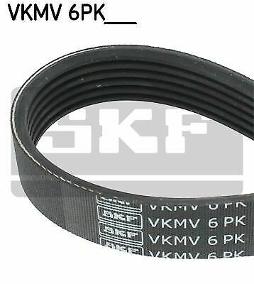 SKF VKMV 6PK1123 V-Ribbed Belts for AUDI, SEAT, SKODA, VW