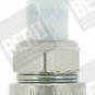 BERU Z 170 Spark Plug for ALFA ROMEO, AUDI, CHRYSLER, DAIMLER, JAGUAR, MERCEDES-